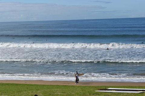 Great Ocean Road Tour Plus Koalas, Forest Walk And Morning Tea. - Tourism Brisbane 9