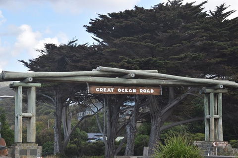 Great Ocean Road Tour Plus Koalas, Forest Walk And Morning Tea. - Tourism Brisbane 7