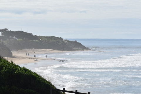 Great Ocean Road Tour Plus Koalas, Forest Walk And Morning Tea. - Tourism Brisbane 10