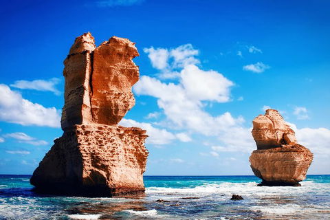 Great Ocean Road Tour Plus Koalas, Forest Walk And Morning Tea. - Tourism Brisbane 11
