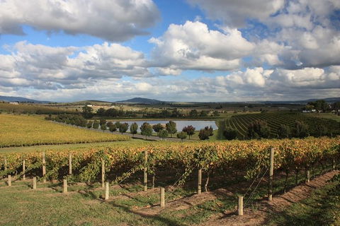 LGBT+ Friendly Full Day Yarra Valley & Dandenong Ranges Private Tour - Brisbane 4u 0