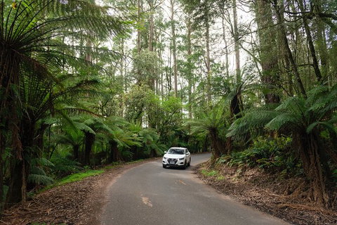 LGBT+ Friendly 3 Day Tour The Grampians, Daylesford & Ballarat - Brisbane Tourism 1