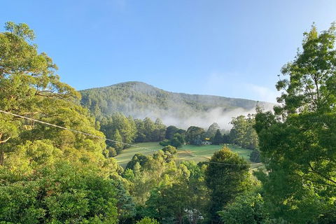 Hiking Tour To Aqueduct And Warburton Valley Lookout - Tourism Brisbane 0