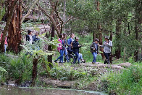 Walk With Wildlife: Guided Tour In Great Ocean Road - Tourism Brisbane 4