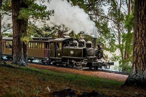 Small Group - Dandenong Ranges, Puffing Billy & Healesville Sanctuary Day Tour - Tourism Brisbane 2