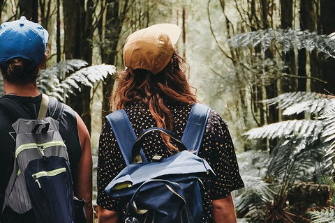 Small Group - Dandenong Ranges, Puffing Billy & Healesville Sanctuary Day Tour - Tourism Brisbane 6