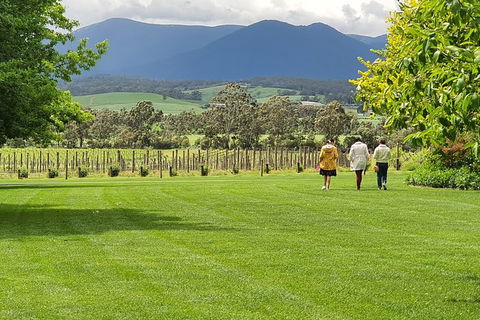 Yarra Valley Wine Tasting Day Tour From Melbourne - Tourism Brisbane 6