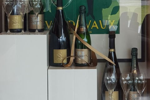 Yarra Valley Wine Tasting Day Tour From Melbourne - Tourism Brisbane 2