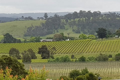 Yarra Valley Wine Tasting Day Tour From Melbourne - Tourism Brisbane 0