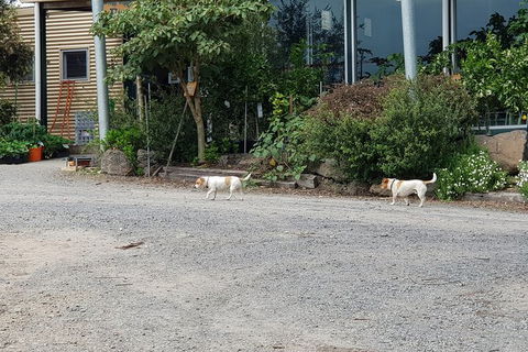 Yarra Valley Wineries And Rayners Orchard Tour From Melbourne - Brisbane Tourism 23