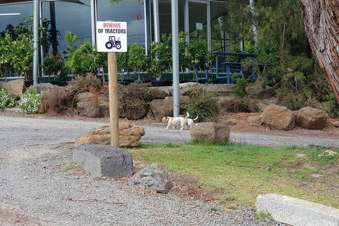 Yarra Valley Wineries And Rayners Orchard Tour From Melbourne - Brisbane Tourism 1