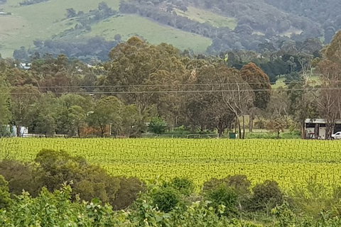 Day Tour Of Yarra Valley Puffing Billy And Rayners Orchard - Brisbane Tourism 44