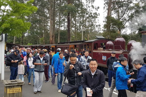 Day Tour Of Yarra Valley Puffing Billy And Rayners Orchard - Brisbane Tourism 3