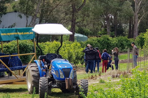 Day Tour Of Yarra Valley Puffing Billy And Rayners Orchard - Brisbane Tourism 10