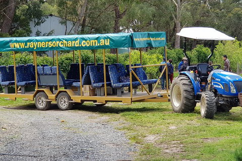 Day Tour Of Yarra Valley Puffing Billy And Rayners Orchard - Brisbane Tourism 48