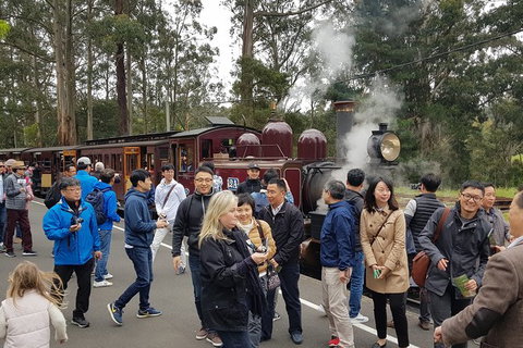 Day Tour Of Yarra Valley Puffing Billy And Rayners Orchard - Brisbane Tourism 18