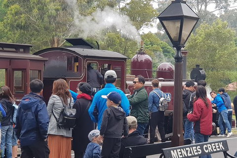 Day Tour Of Yarra Valley Puffing Billy And Rayners Orchard - Brisbane Tourism 40