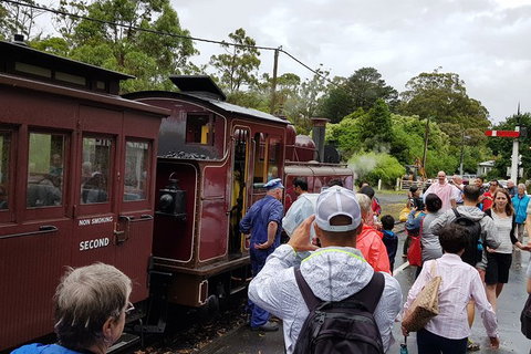 Day Tour Of Yarra Valley Puffing Billy And Rayners Orchard - Brisbane Tourism 23