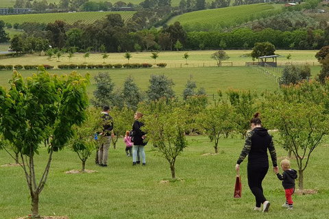 Day Tour Of Yarra Valley Puffing Billy And Rayners Orchard - Brisbane Tourism 36
