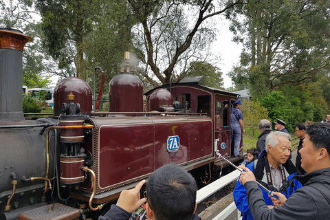 Day Tour Of Yarra Valley Puffing Billy And Rayners Orchard - Brisbane Tourism 28