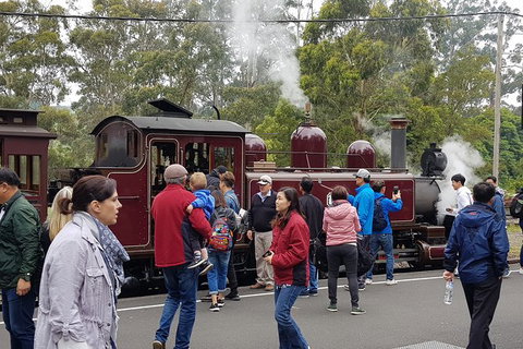 Day Tour Of Yarra Valley Puffing Billy And Rayners Orchard - Brisbane Tourism 4