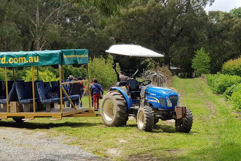 Day Tour Of Yarra Valley Puffing Billy And Rayners Orchard - Brisbane Tourism 25