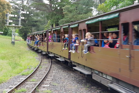 Day Tour Of Yarra Valley Puffing Billy And Rayners Orchard - Brisbane Tourism 24