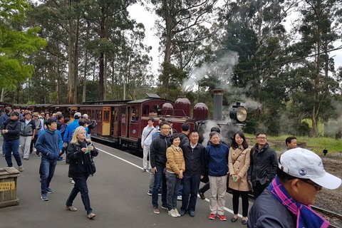 Day Tour Of Yarra Valley Puffing Billy And Rayners Orchard - Brisbane Tourism 9