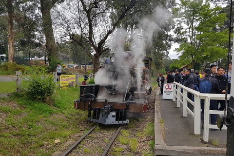 Day Tour Of Yarra Valley Puffing Billy And Rayners Orchard - Brisbane Tourism 43