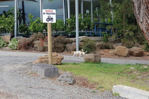 Day Tour Of Yarra Valley Puffing Billy And Rayners Orchard - Brisbane Tourism 2