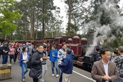 Day Tour Of Yarra Valley Puffing Billy And Rayners Orchard - Brisbane Tourism 12