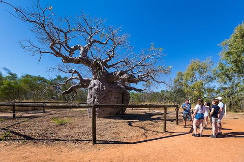 5 Day Bungle Bungles & Cattle Station Explorer - Brisbane Tourism 2