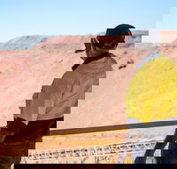Purnululu Scenic with Argyle Diamond Mine Ground Tour - Tourism Brisbane