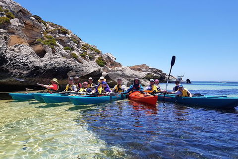 Rottnest Glass Bottom Kayaking Tour - Tourism Brisbane 0