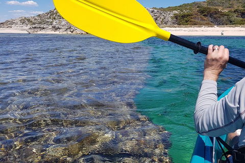 Rottnest Glass Bottom Kayaking Tour - Tourism Brisbane 3