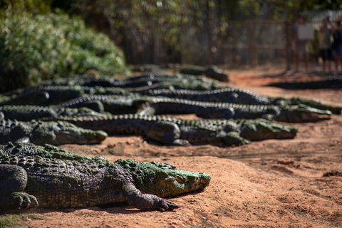 Malcolm Douglas Crocodile Park - Brisbane Tourism 8