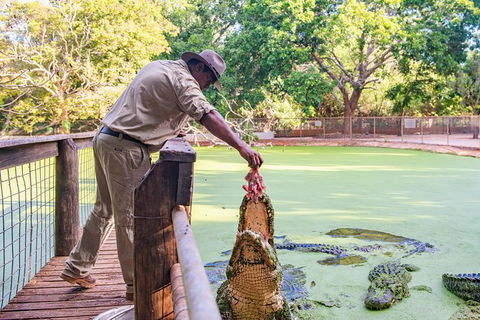Malcolm Douglas Crocodile Park - Brisbane Tourism 3