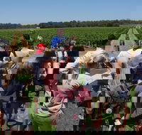 Margaret River Tour The Full Bottle - Tourism Brisbane