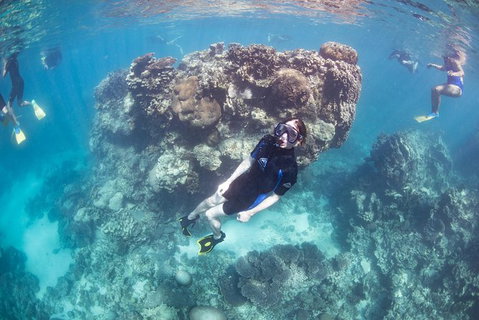 Coral Bay 2-Hour Coral Viewing And Snorkeling - Tourism Brisbane 3