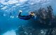 Ningaloo Adventure And Manta Ray Tour - thumb 6