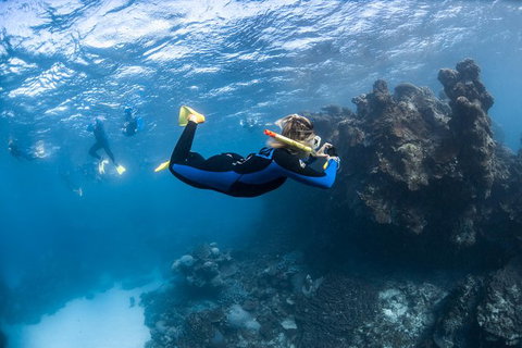 Ningaloo Adventure And Manta Ray Tour - Tourism Brisbane 6