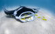 Ningaloo Adventure And Manta Ray Tour - thumb 9