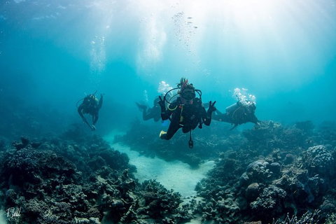 Ningaloo Adventure And Manta Ray Tour - Tourism Brisbane 4