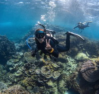 Ningaloo Adventure and Manta Ray Tour - Tourism Brisbane