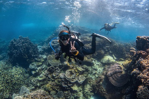 Ningaloo Adventure And Manta Ray Tour - Tourism Brisbane 0