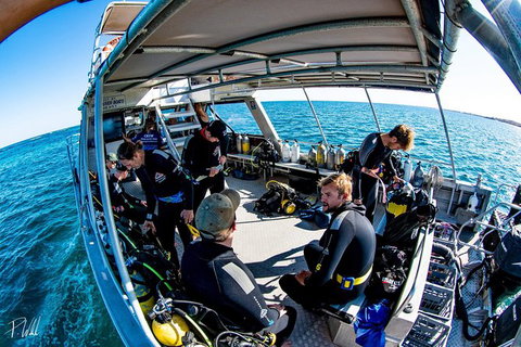 Ningaloo Adventure And Manta Ray Tour - Tourism Brisbane 8