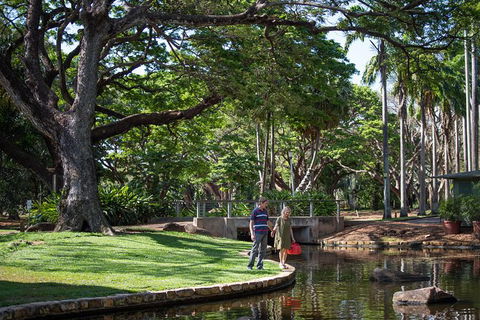 Darwin City Sights And Jumping Crocodile Cruise - Tourism Brisbane 9