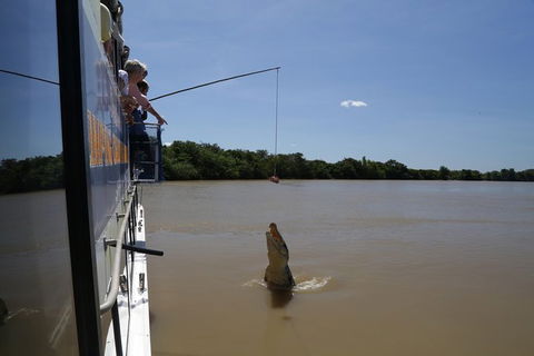 Darwin City Sights And Jumping Crocodile Cruise - Tourism Brisbane 2