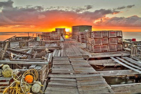 Abrolhos Islands 3 Day Fishing Charter - Brisbane Tourism 5