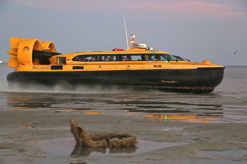 Prehistoric Cocktail Breakfast Hovercraft Tour - Brisbane Tourism 9